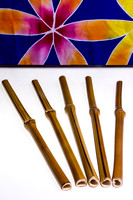 Rawmaste™ Glass + Bamboo Straws 2015